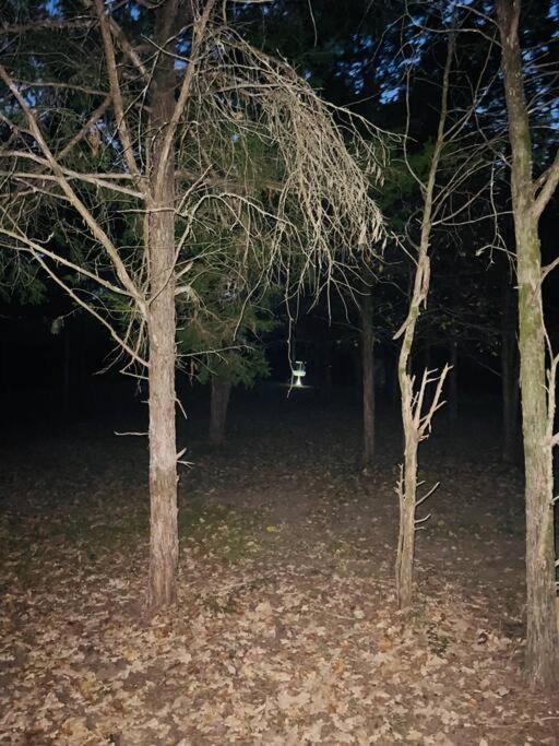 Вілла Bastrop Tiny Disc Golf Retreat Екстер'єр фото