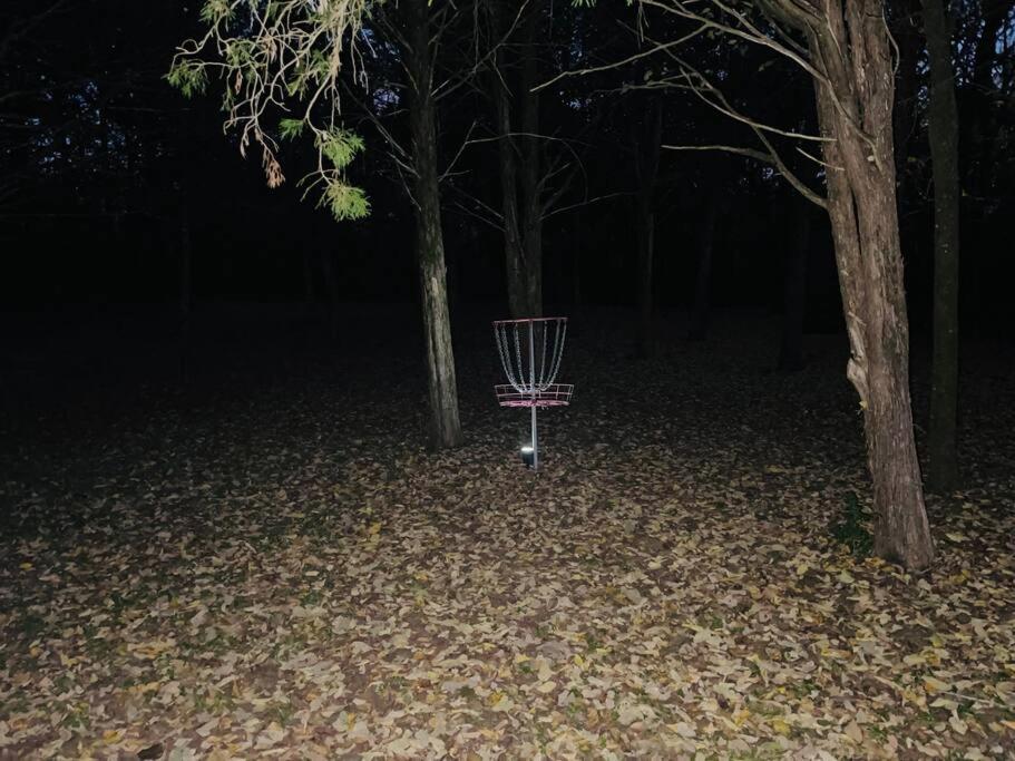 Вілла Bastrop Tiny Disc Golf Retreat Екстер'єр фото
